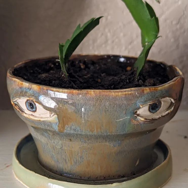 🌷 This Week Special OFF - 49% OFF 😍 Picasso Brutalist Abstract Crying Flower Pot