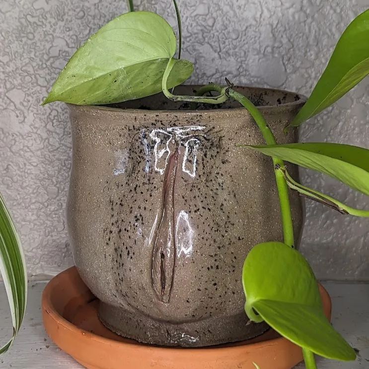 🌷 This Week Special OFF - 49% OFF 😍 Picasso Brutalist Abstract Crying Flower Pot