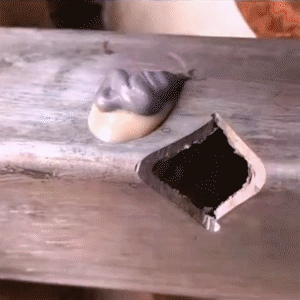 7c0fcabafee31745bca2bee3f7f6c065.gif