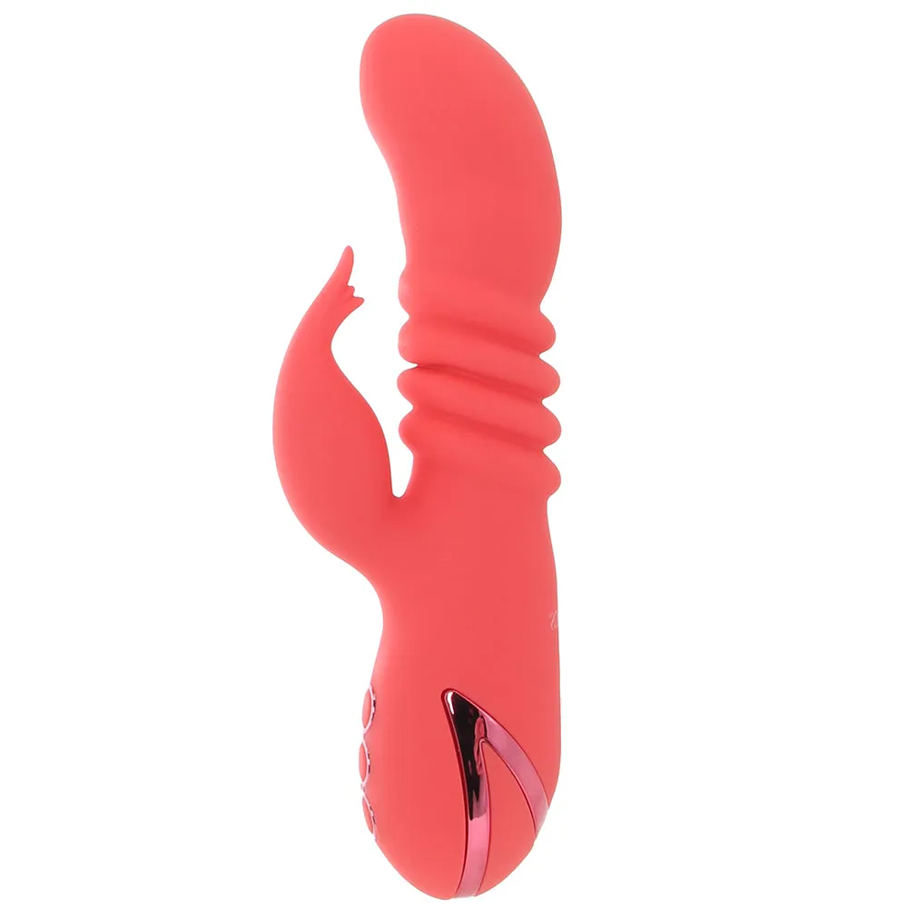 CalExotics  California Dreaming Orange County Cutie Vibe-Seduce Mart