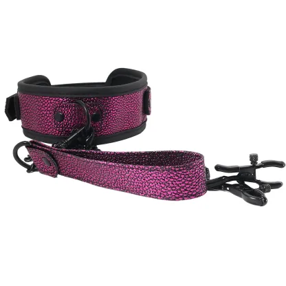 WhipSmart Dragon's Lair Collar, Leash &amp; Nipple Clips Set