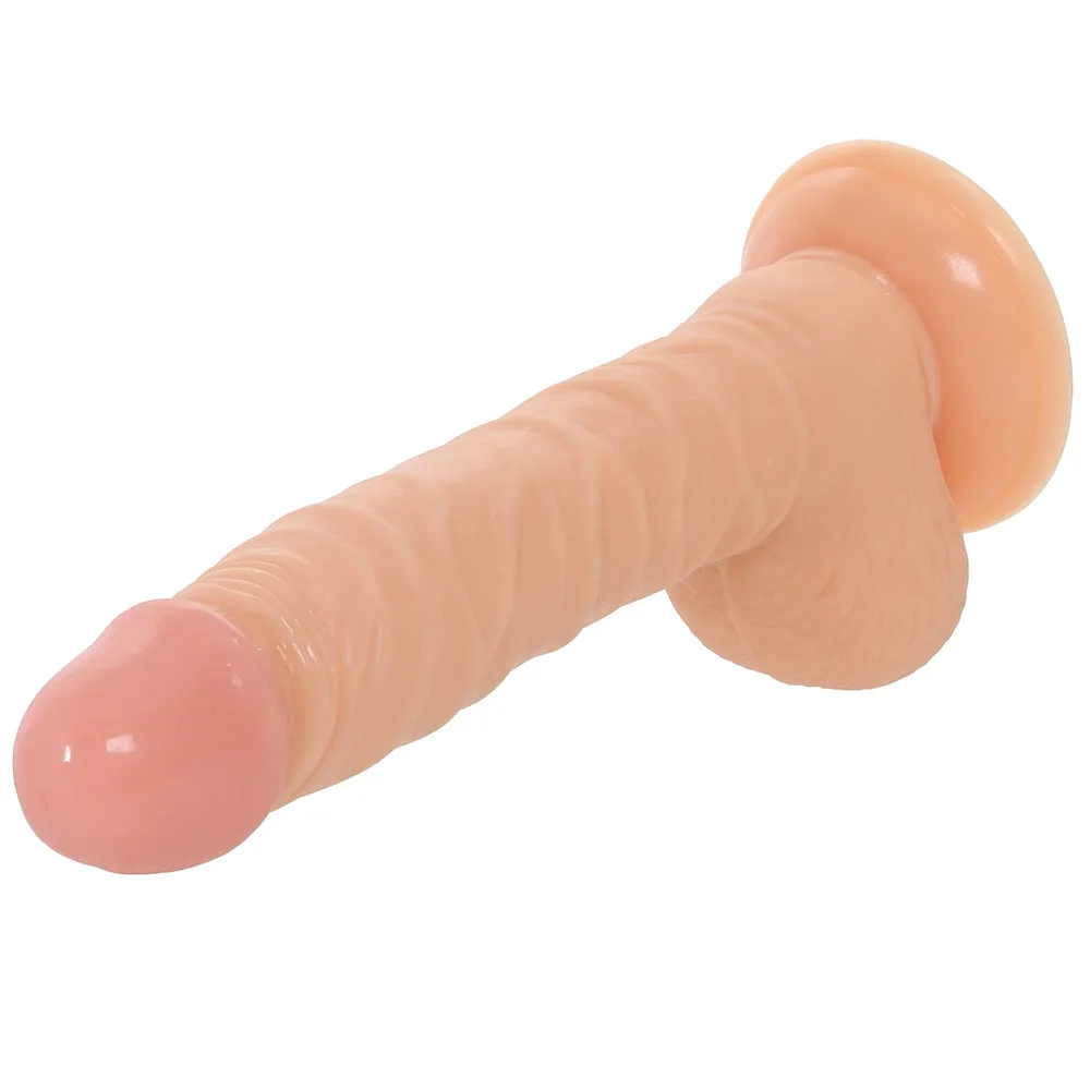 CalExotics  Mr Just Right Elite Eight Vibe in Ivory-Seduce Mart