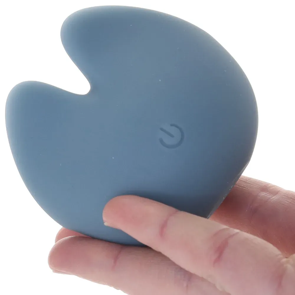 CalExotics  Mod Curve Vibe-Seduce Mart