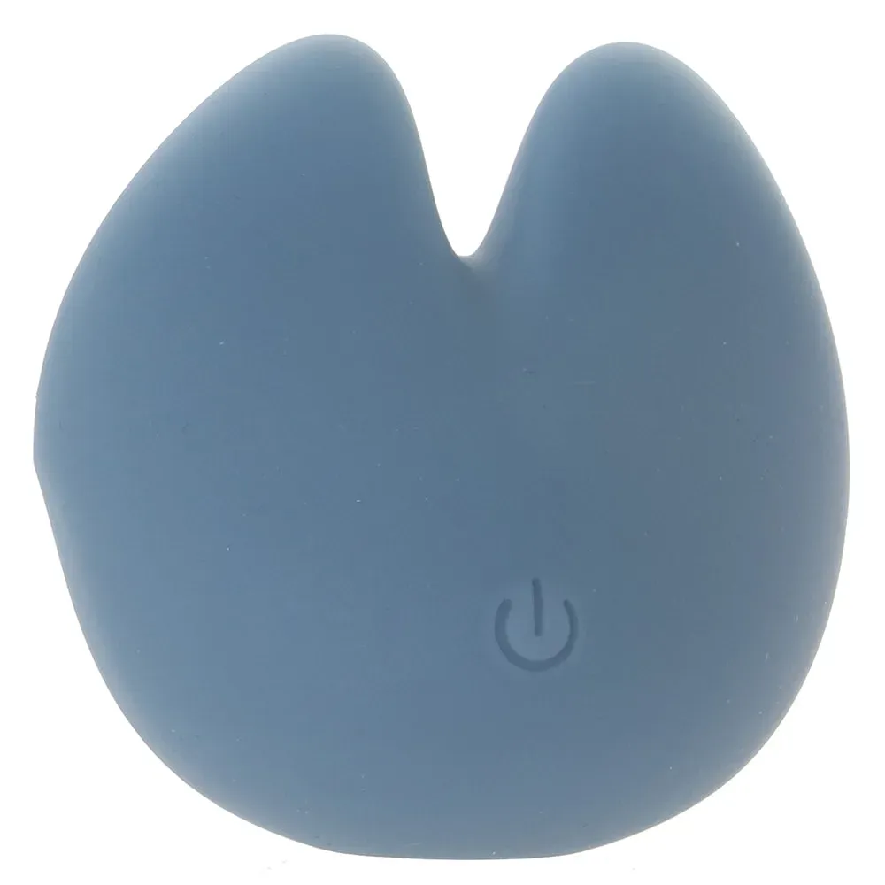 CalExotics  Mod Curve Vibe-Seduce Mart