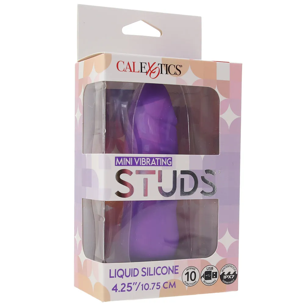 CalExotics  Studs Mini Vibe in Purple-Seduce Mart