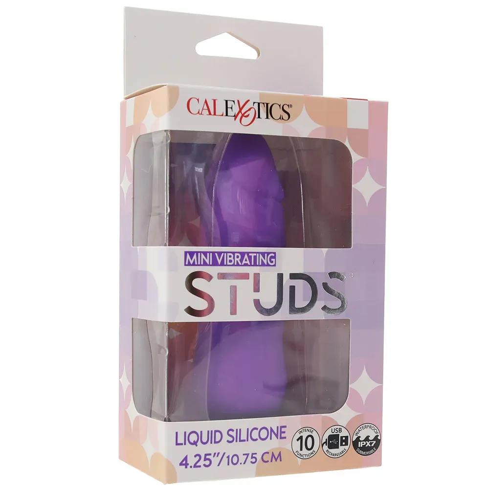 CalExotics  Studs Mini Vibe in Purple-Seduce Mart