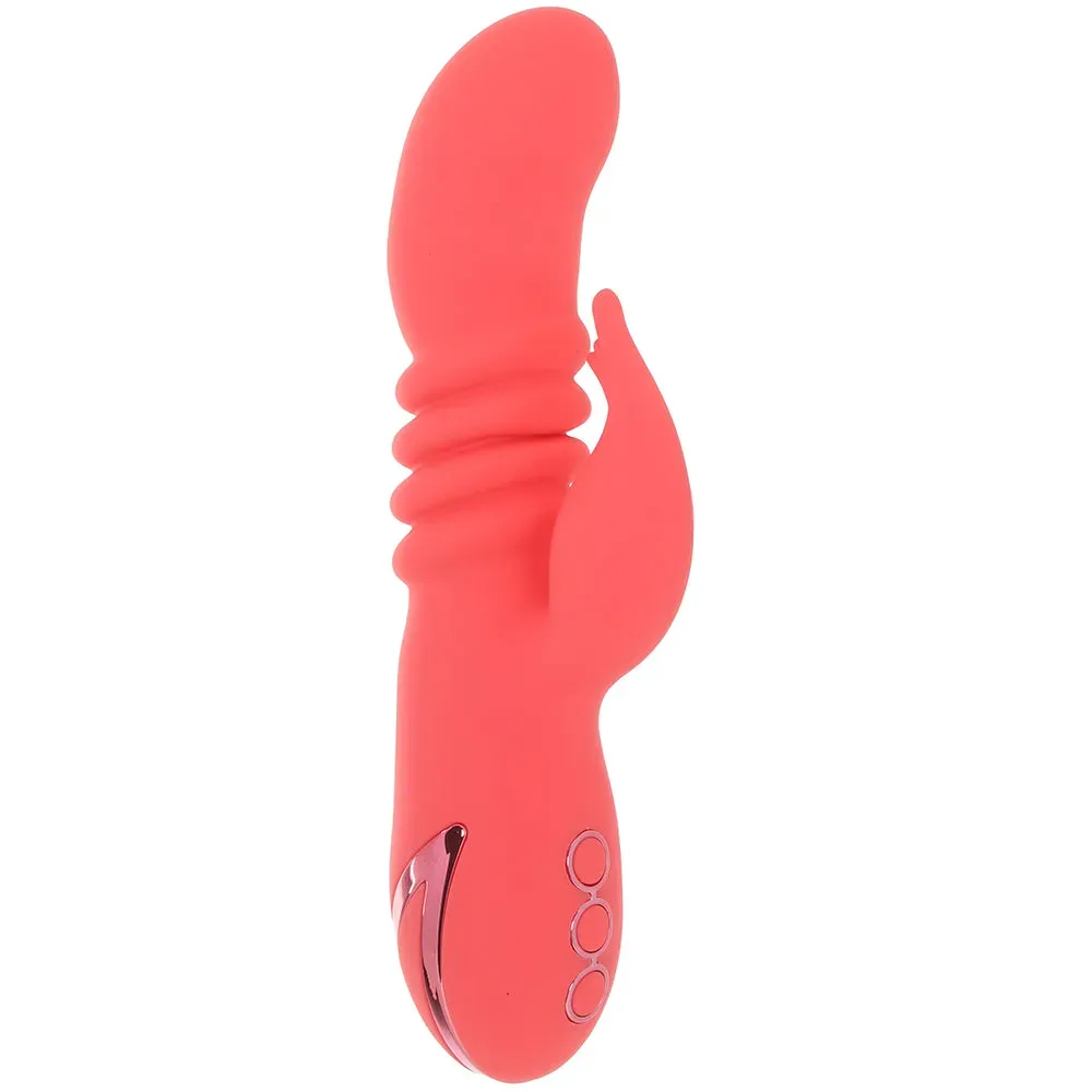 CalExotics  California Dreaming Orange County Cutie Vibe-Seduce Mart