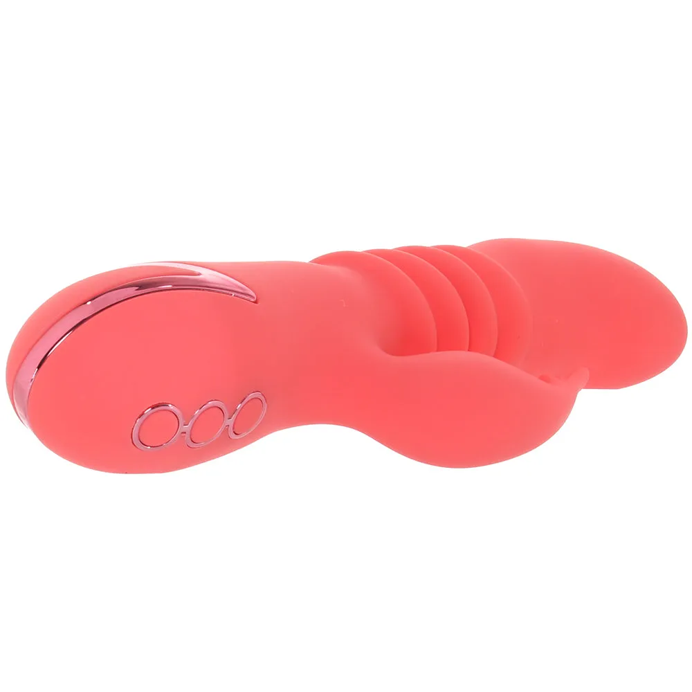 CalExotics  California Dreaming Orange County Cutie Vibe-Seduce Mart