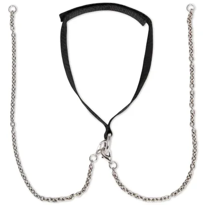 Lux Fetish Collar &amp; Nipple Clips Set