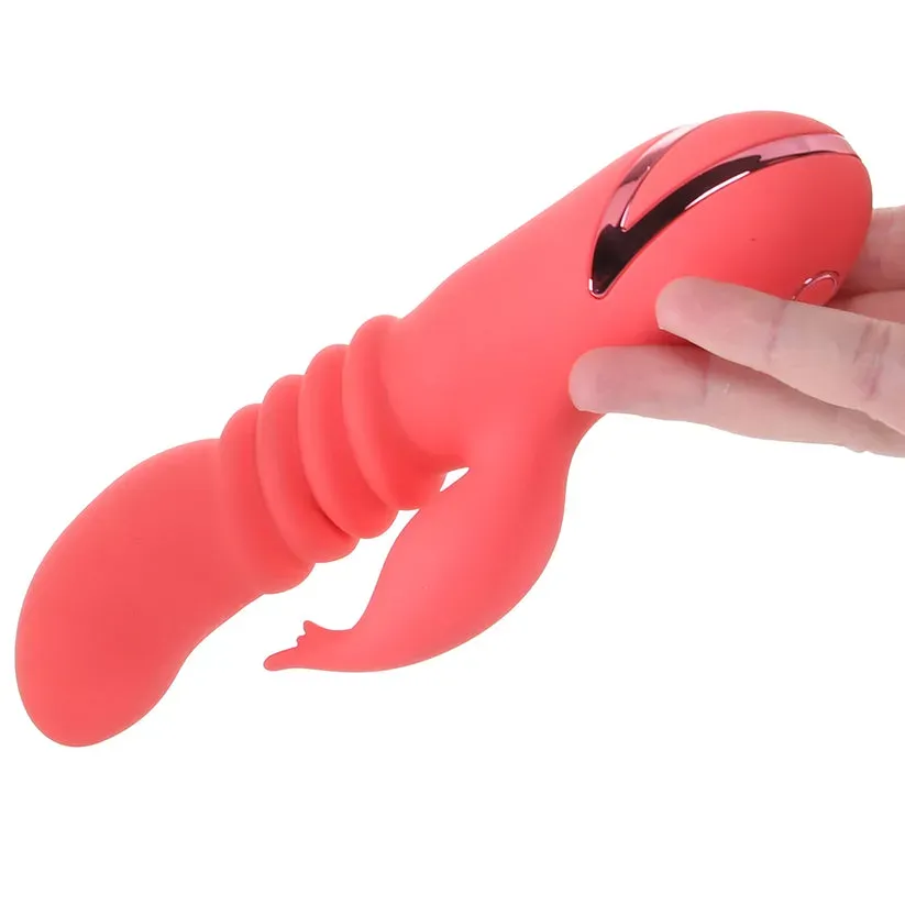 CalExotics  California Dreaming Orange County Cutie Vibe-Seduce Mart