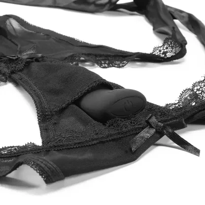 Evolved Novelties  Hidden Pleasure Remote Controlled Vibrating Panty-Seduce Mart