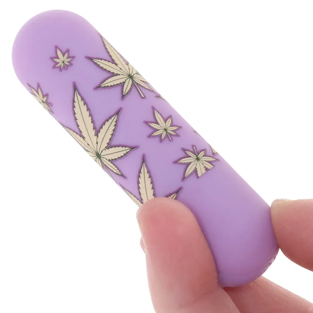 Maia  Jessi 420 Rechargeable Mini Bullet Vibe in Purple-Seduce Mart