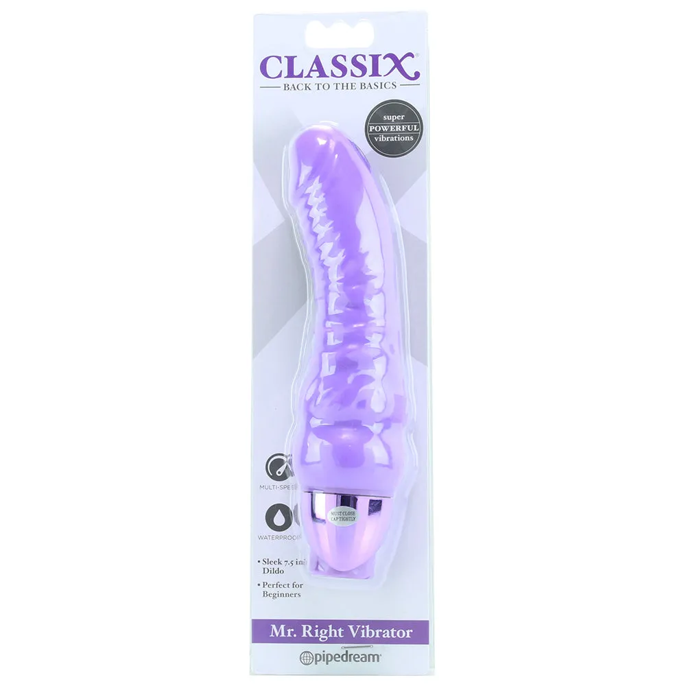 Pipedream  Classix Mr. Right Vibe in Purple-Seduce Mart