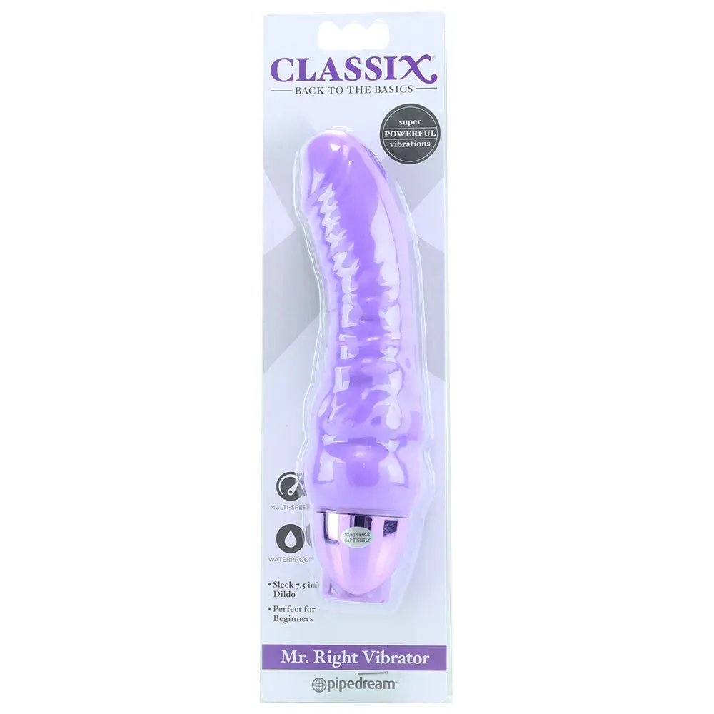 Pipedream  Classix Mr. Right Vibe in Purple-Seduce Mart
