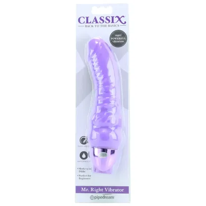 Pipedream  Classix Mr. Right Vibe in Purple-Seduce Mart