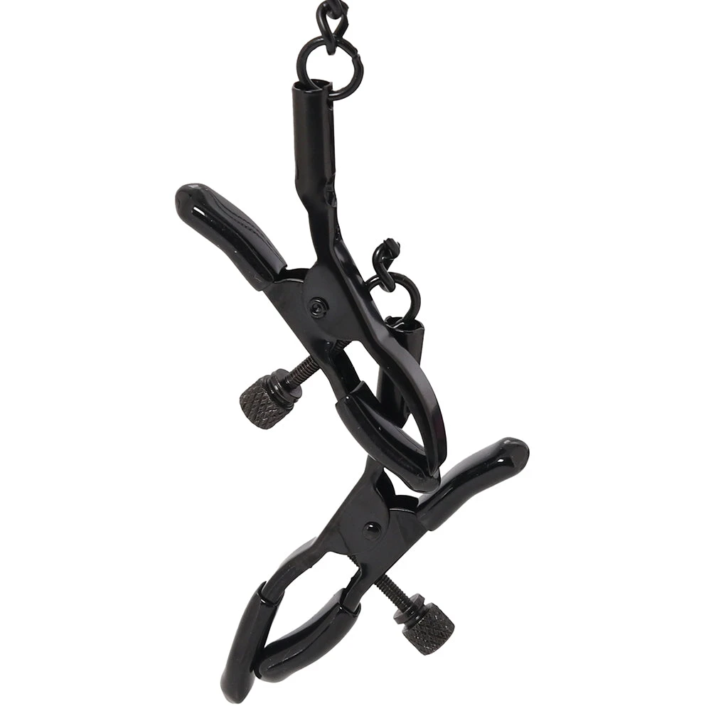 WhipSmart Dragon's Lair Collar, Leash &amp; Nipple Clips Set