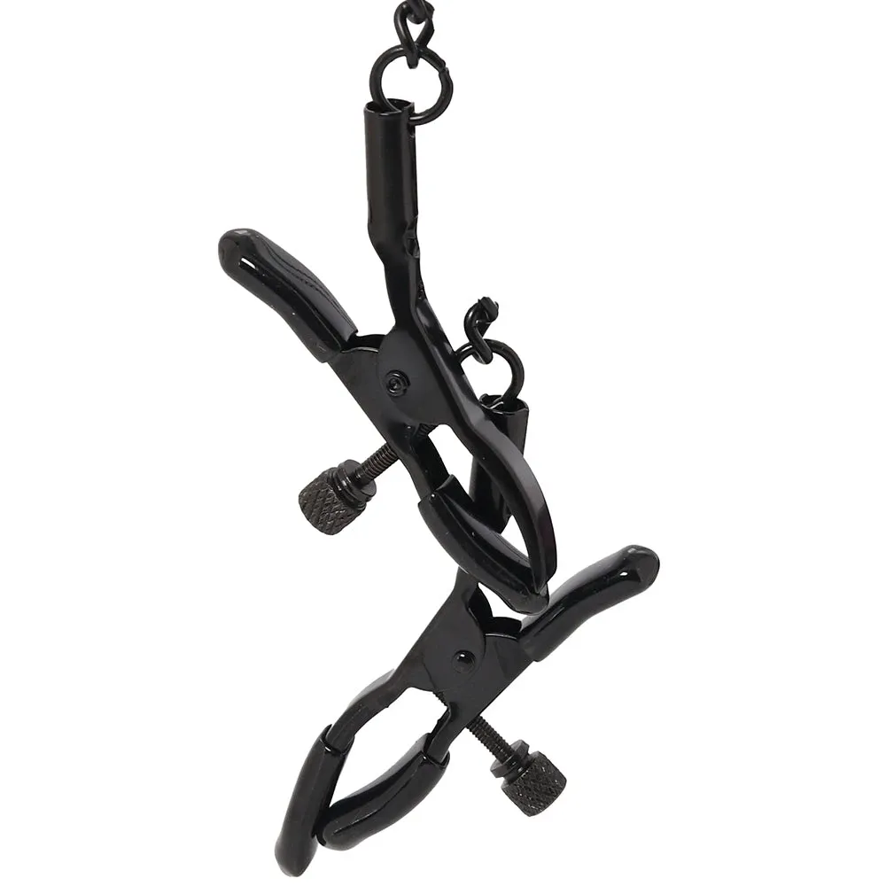 WhipSmart Dragon's Lair Collar, Leash &amp; Nipple Clips Set