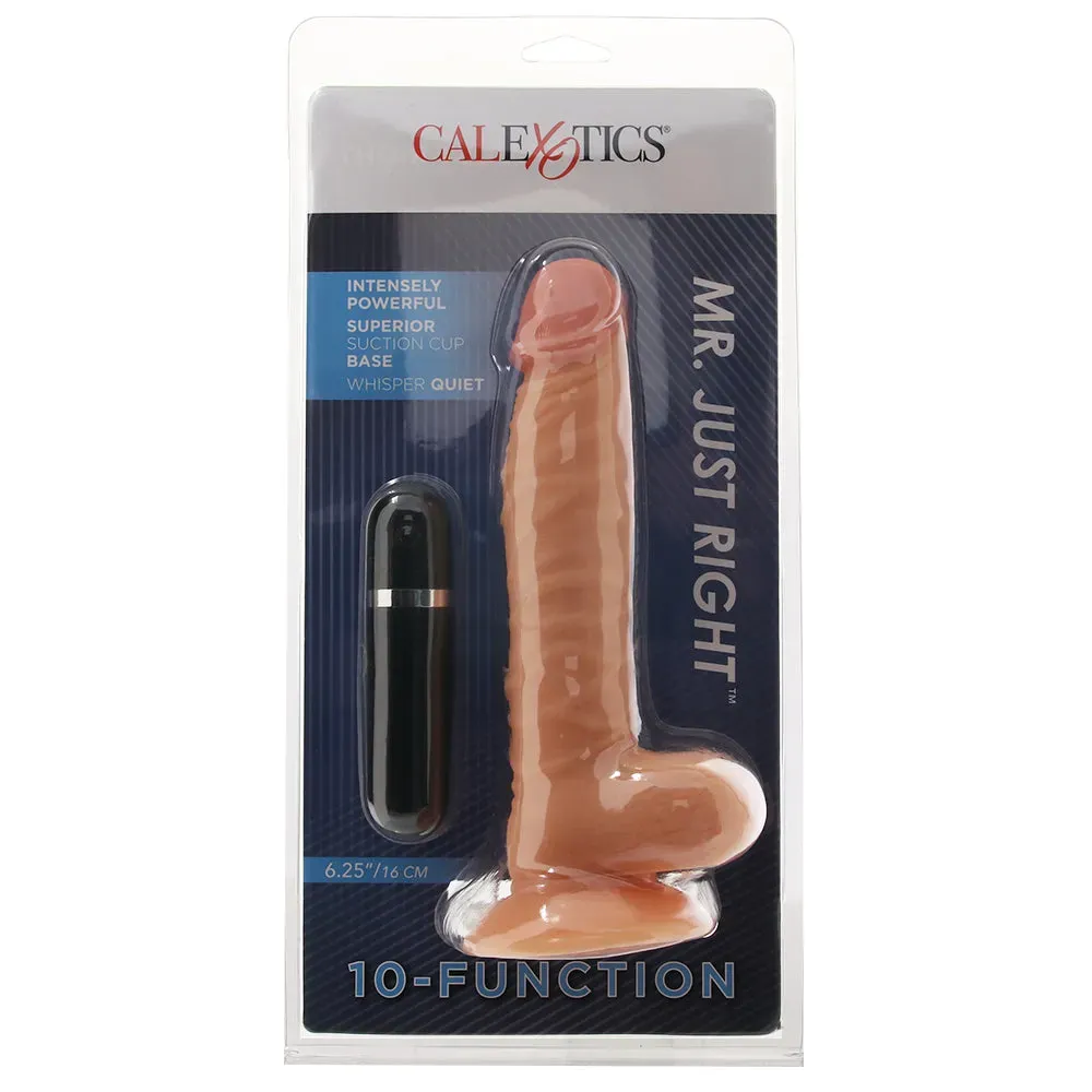 CalExotics  Mr Just Right Elite Eight Vibe in Ivory-Seduce Mart