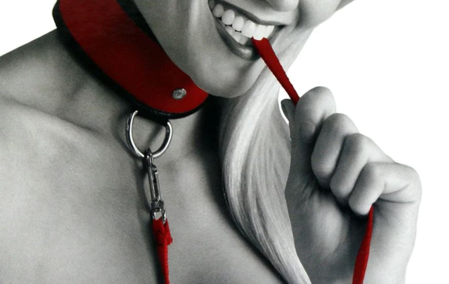 Red Leash and Collar