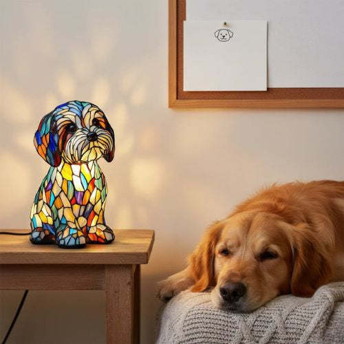 When a Little Puppy Makes a Room Feel Warmer