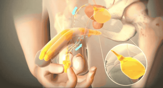 COD单页系统建站,联系QQ:494906791/微信:Cod_web