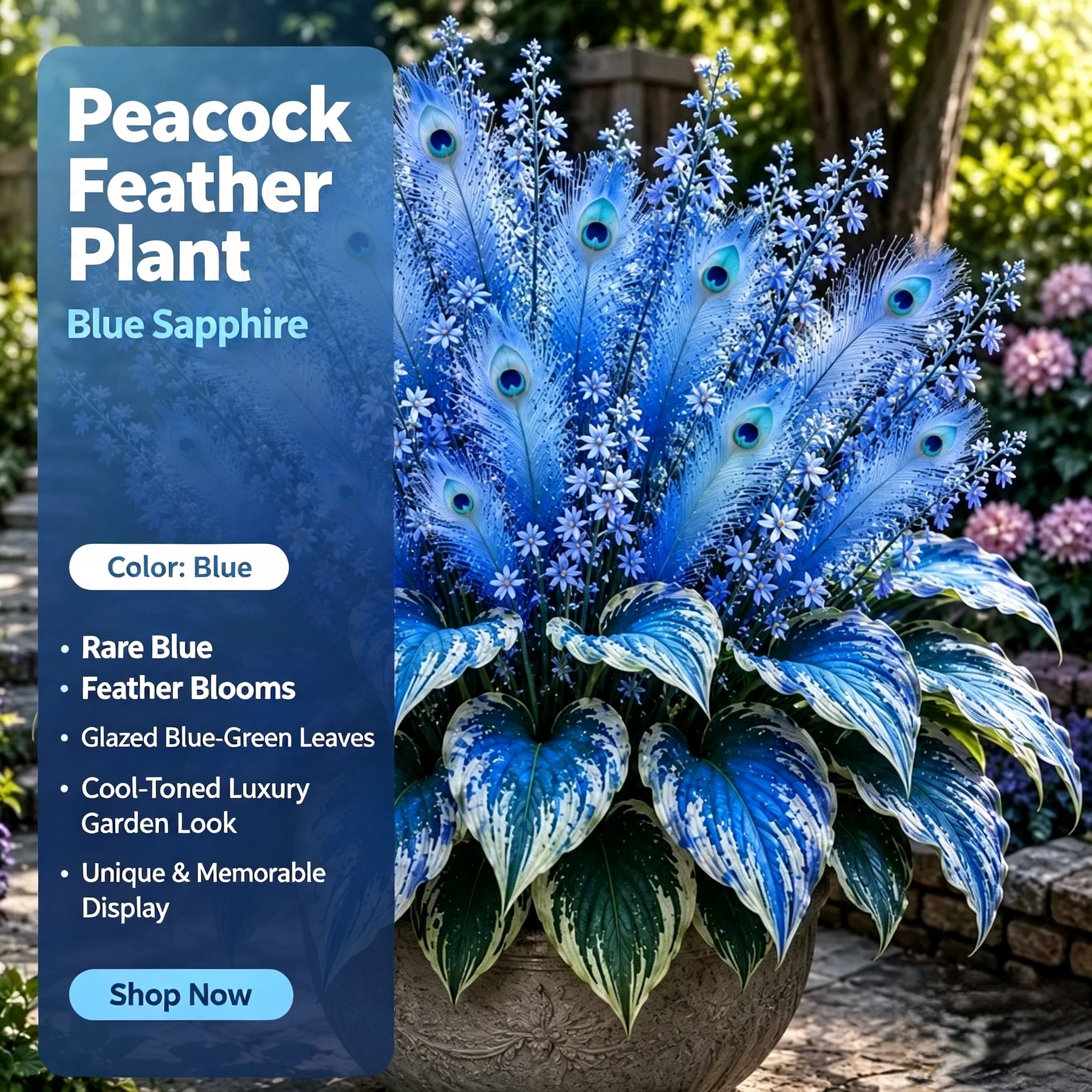 🏠🦚 Peacock Flame Hosta Bulbs💥 Stunning Colors That Brighten Any Space
