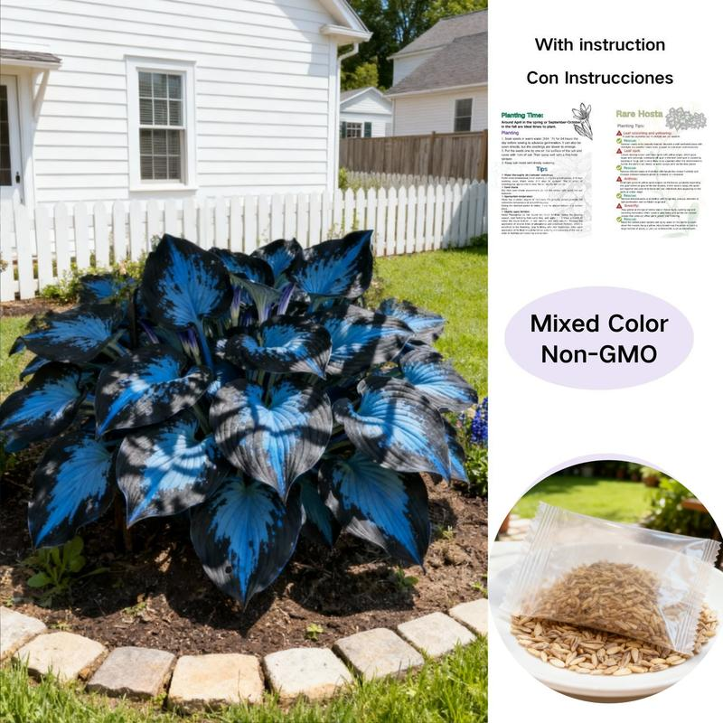 💥2025 Hot Sale 🌌Midnight Blue Heart Hosta Seeds Perennial Shade Plant for Garden