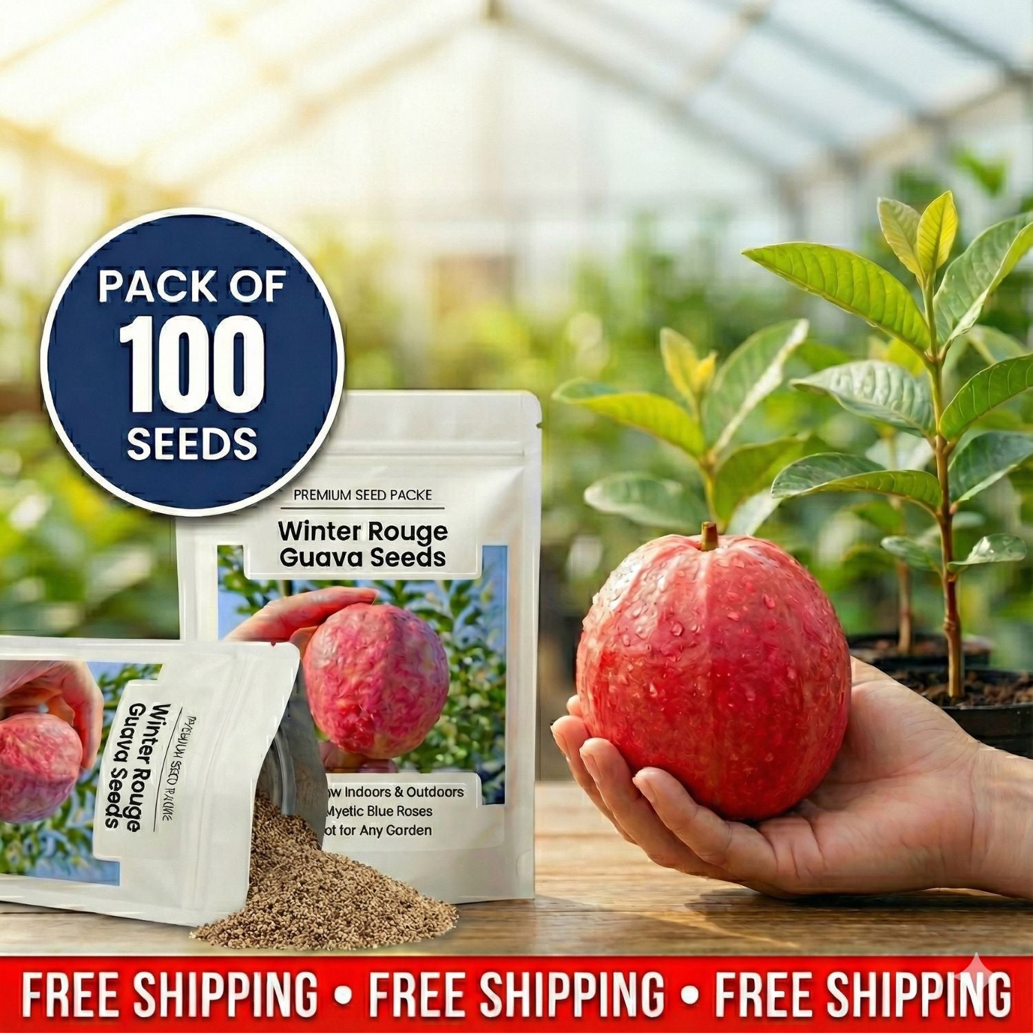 Guava Seeds--The Beauty Of Winter❄️