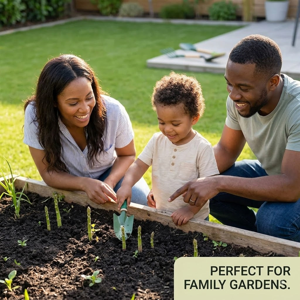 🌱 Premium Perennial Asparagus Seeds, High‑Yield Hardy Garden Vegetable