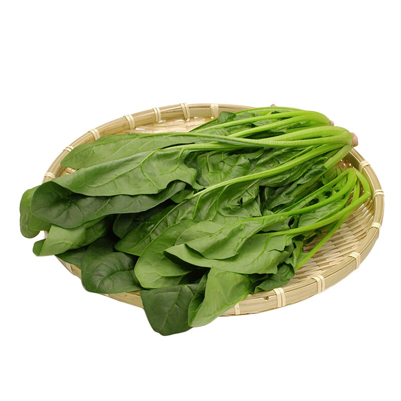 Heat-tolerant Spinach Regiment F1 Organic -Grown in summer