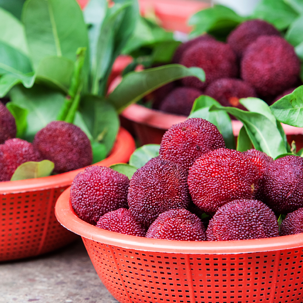 Giant Bayberry: Ping-Pong Ball Size, ⭐Strawberry-Cherry Fusion Flavor