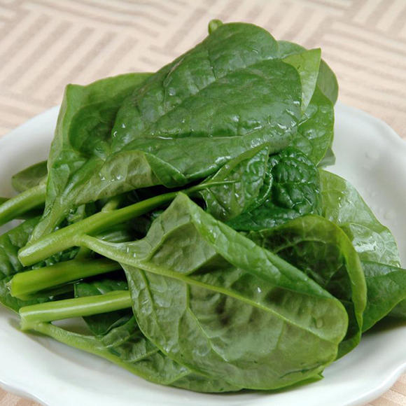 GIANT MALABAR SPINACH