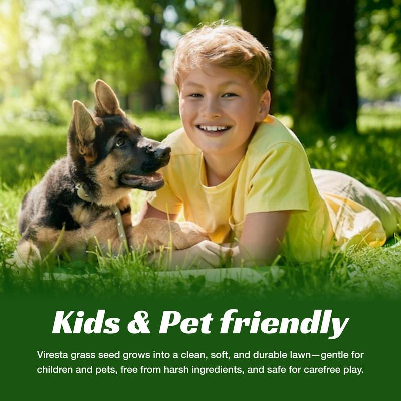 🌱 Evergreen dwarf grass seed for four seasons🌾 | Create your perfect lawn here🌼