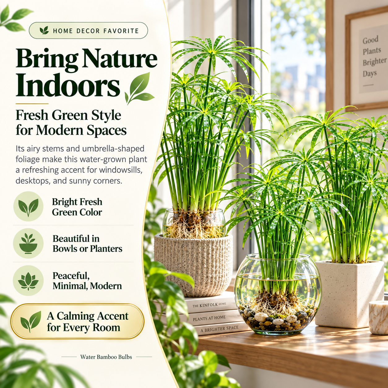 Bring Nature Indoors Water Bamboo Bulbs