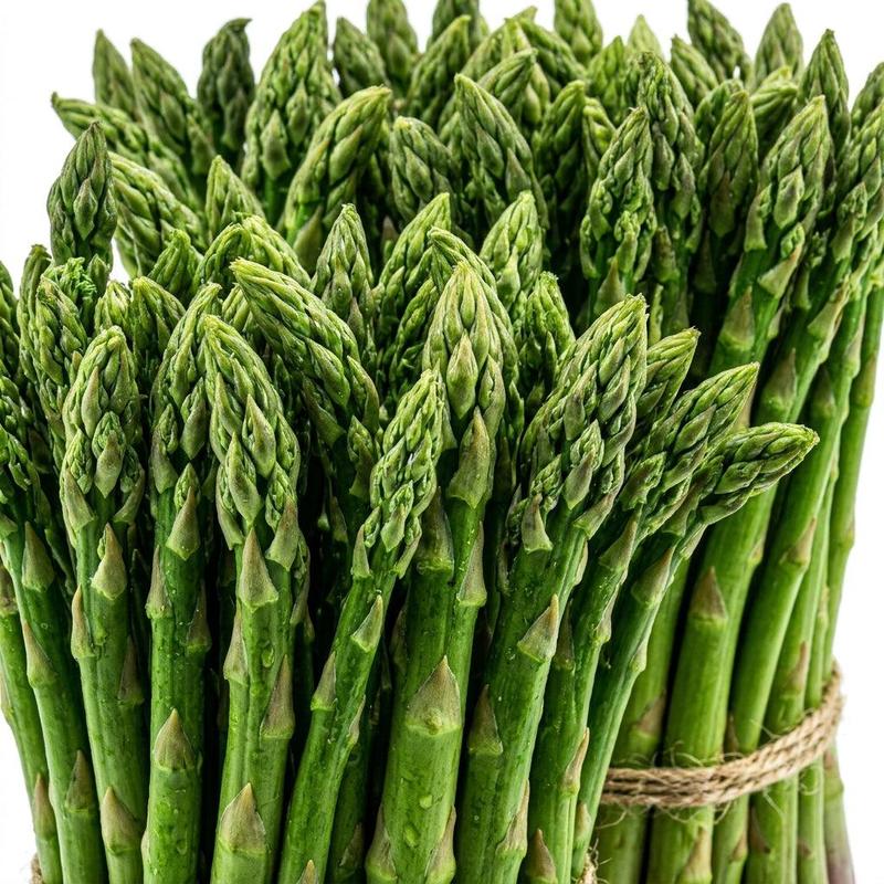 Mary Washington Asparagus Seeds – Perennial, Traditional Vegetable Seeds – Grow tender, delicious asparagus spears year after year