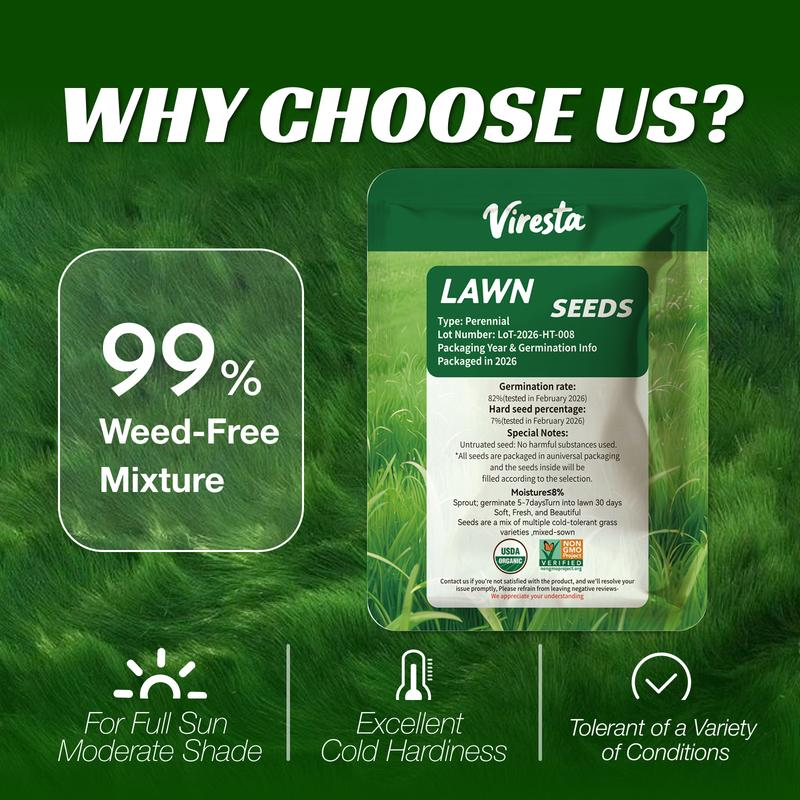 🌱 Evergreen dwarf grass seed for four seasons🌾 | Create your perfect lawn here🌼