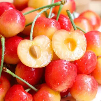 Cherry Fruit Seeds(🪴Buy 3 Get 1 Free🌿Can be planted in winter)