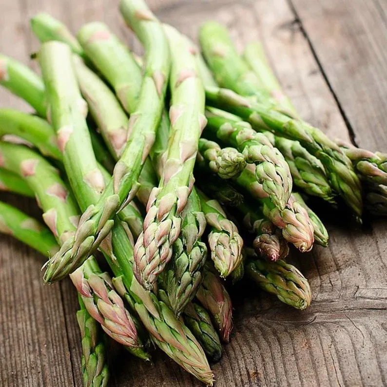 FOUR SEASONS Green Broccoli Stem SEEDS