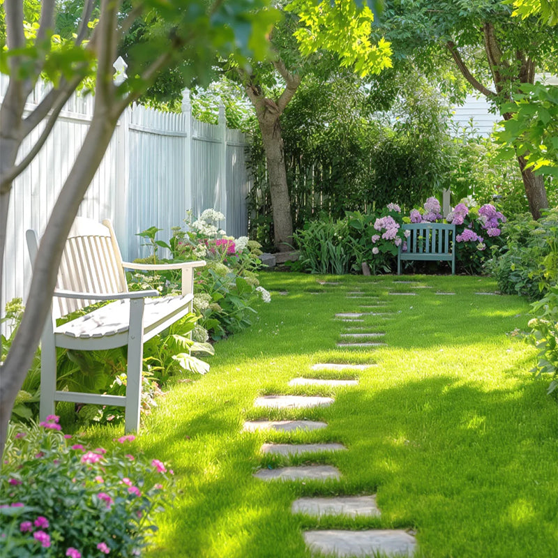 🌱 Evergreen dwarf grass seed for four seasons | Create your perfect lawn here