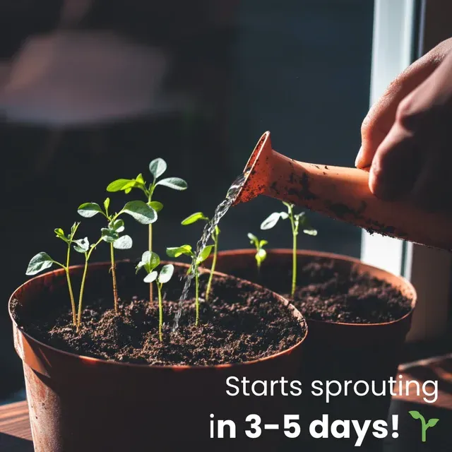 🌱 The 2026 Blooming Calendar: A Garden in Every Page