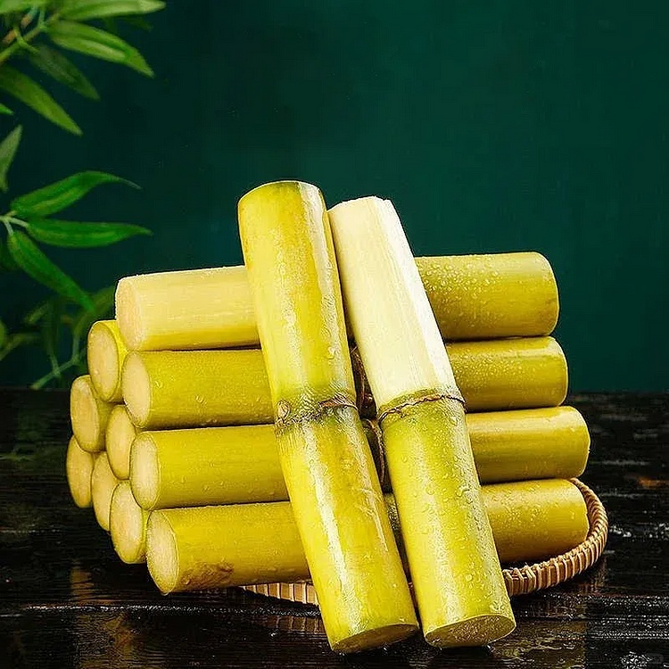 🌱 Grow Your Own Sugarcane – High Germination Seeds ✨ for Easy Home Gardens 🌿