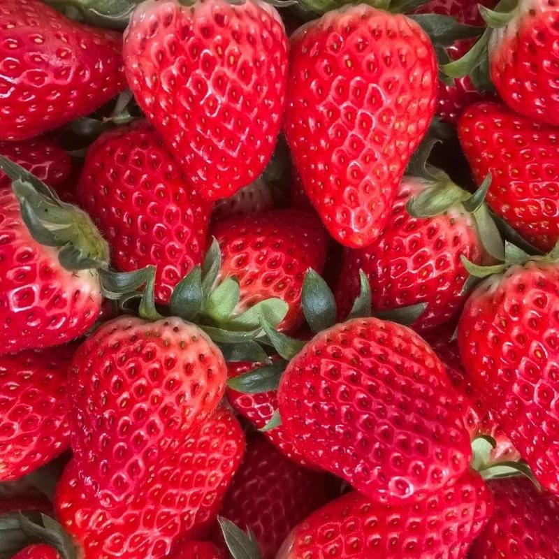 All-season Strawberry Fruit Seeds for Planting Home Garden Outdoo