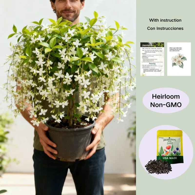 💐You Are My Life-Weeping Jasmine Flowers Seeds