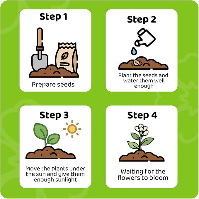 【BUY 3 GET 1 FREE】Trailing Jasmine Seeds Bridal Veil High Germination Rate Nodding Clerodendron Easy to Grow Long Lasting Aroma for Home Garden Fragrant Blooms Rare Cascading Jasmine Perfect for Balconies & Indoor Pots