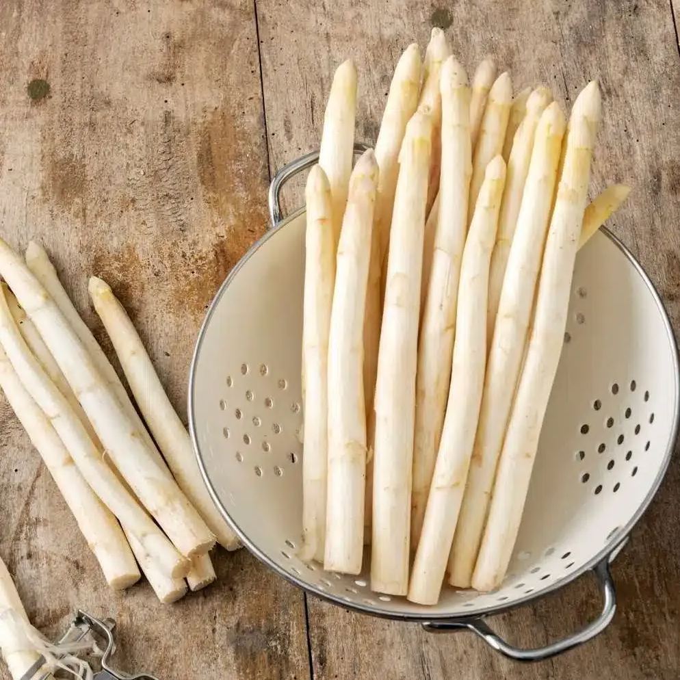 FOUR SEASONS ASPARAGUS MARY WASHINGTON SEEDS