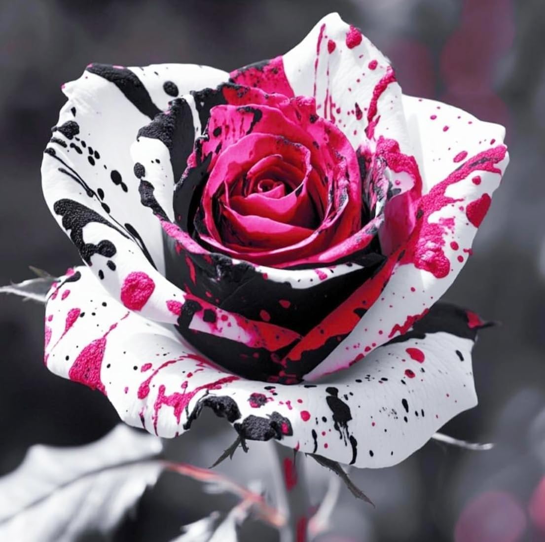 300Pcs Mix Colorful Rose Flower Seeds for Home Garden & Container Planting - Perennial Fragrant Flowers 300Pcs Mix Colorful Rose Flower Seeds for Home Garden & Container Planting - Perennial Fragrant Flowers