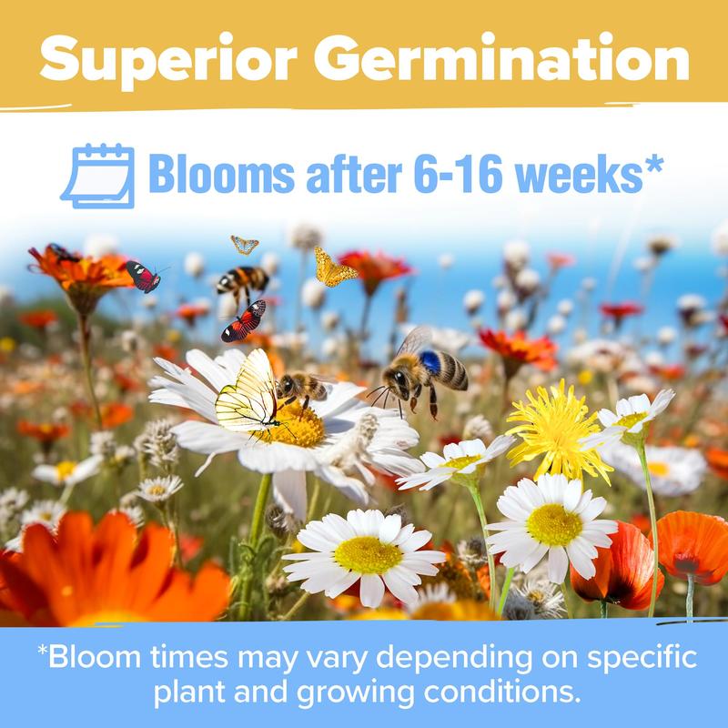 🔥Hot Sale🎉Mixed Perennial Wild Flowers Seeds（Over 60 kinds mixed）