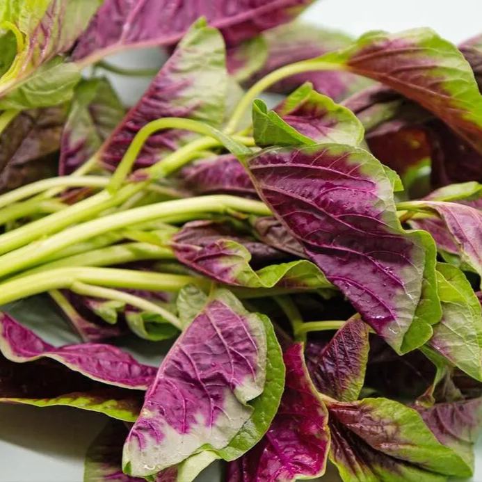Large-Leafed Red Amaranth Seeds 