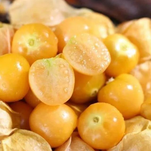 Cape Gooseberry Seeds