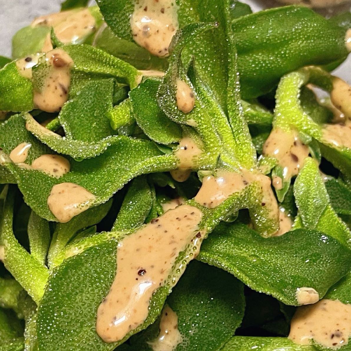 Crystal Ice Plant Seeds